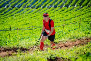 BIB: 
                            <button type="button" onclick="openModal(19161660)" class="btn btn-primary btn-sm float-right btn-popup" data-toggle="modal" data-target=".modal-high-quality">
                        <i class="fas fa-shopping-cart"></i> Add to Cart
                    </button>
                                            <button type="button" onclick="isThisMe(19161660, true)" class="btn btn-success btn-sm float-right btn-popup btn-isme hidden" data-toggle="tooltip" data-placement="bottom" title="นี่คือรูปของคุณใช่ไหม คลิกที่นี่เพื่อเอาเข้าอัลบั้ม">
                        <i class="fas fa-plus"></i> Add to album
                    </button>
                    <button type="button" onclick="isThisMe(19161660, false)" class="btn btn-warning btn-sm float-right btn-popup btn-isnotme hidden">
                        <i class="fas fa-ban"></i> Remove from album
                    </button>